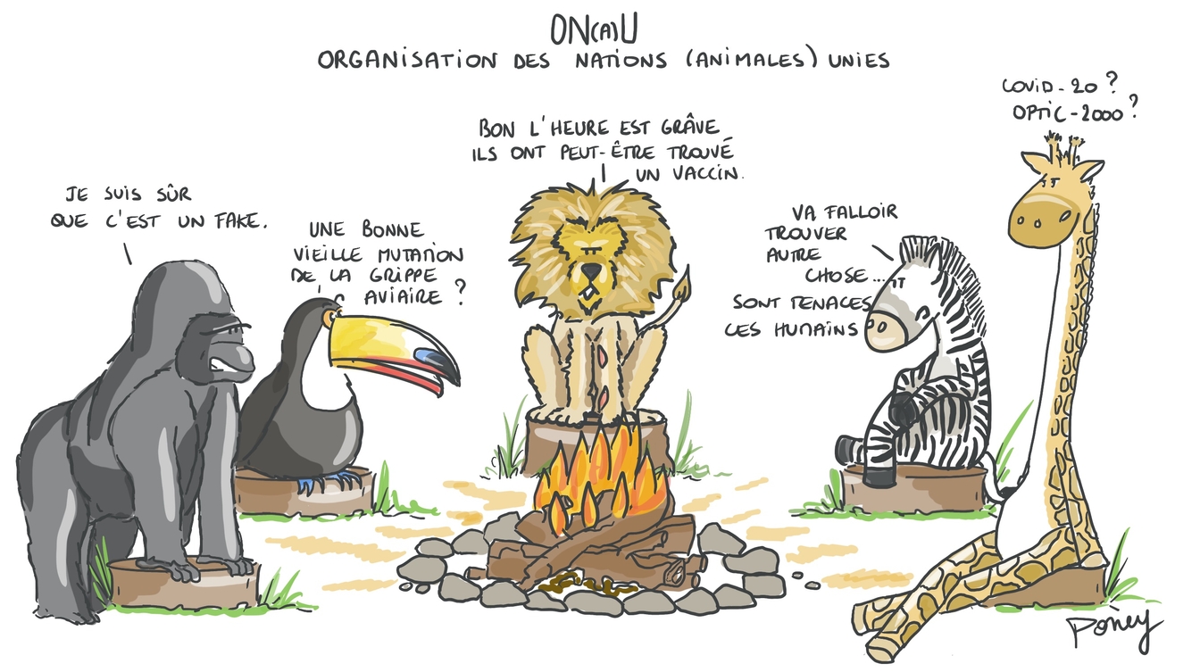 Organisation Nationale des Nations (Animales) Unies
