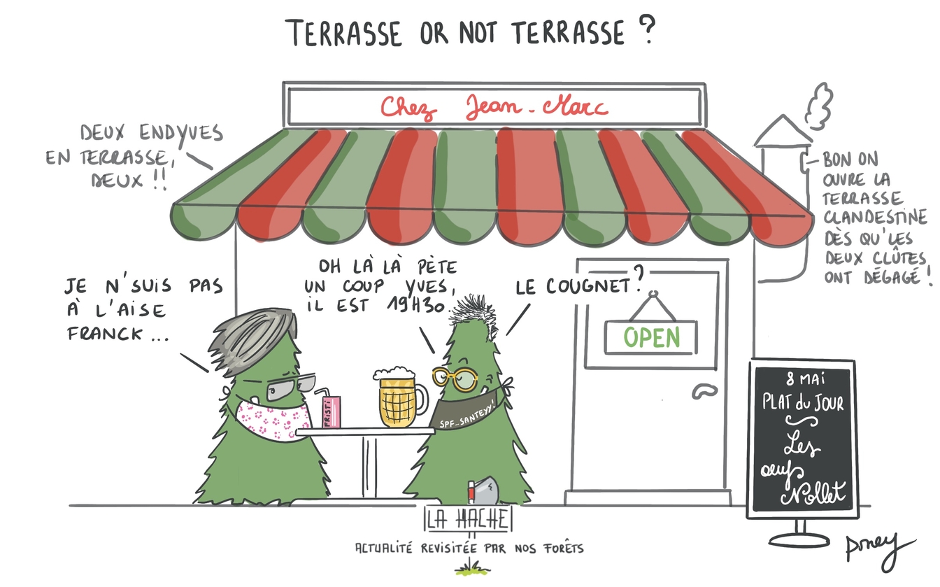 Terrasse or not terrasse ?